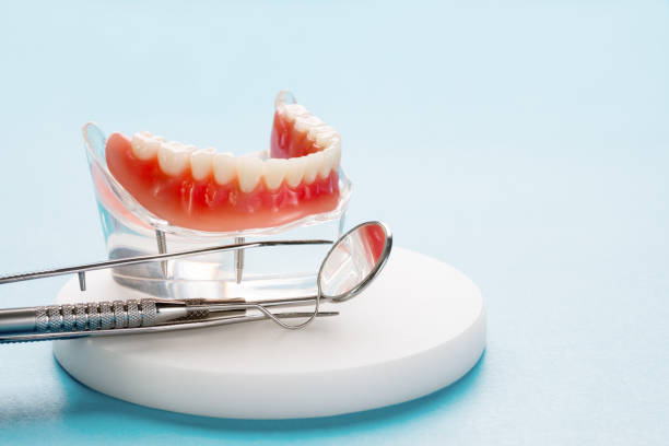 Trusted Edgewater, NJ  Holistic Dental Services Experts